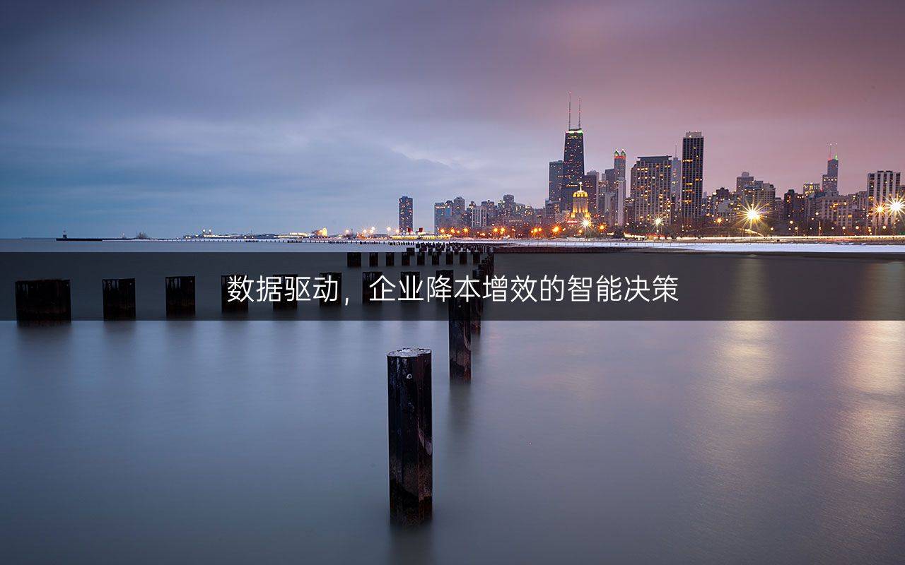 数据分析与企业决策：信息科技的竞争智慧