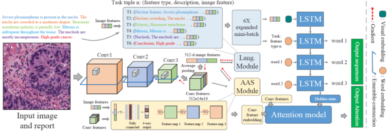深度伪造技术在政治和公共舆论中的影响力